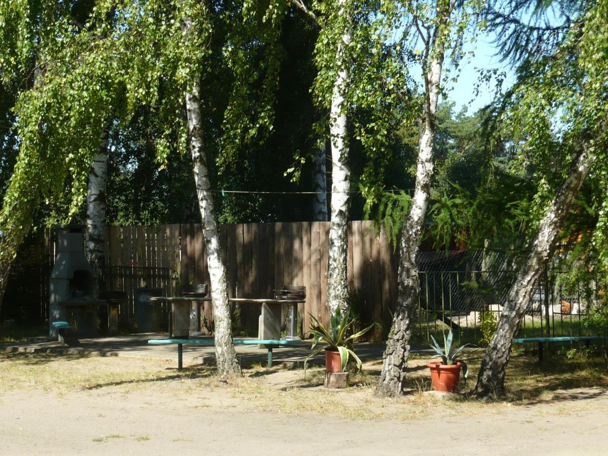 Grosse Wohnung Nossentiner Huette Esterno foto